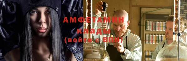 гидра Богданович