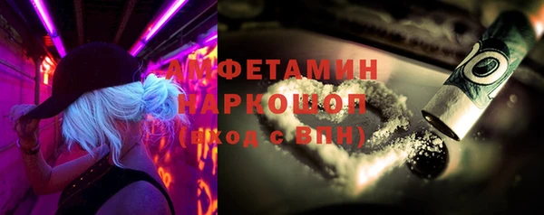 гидра Богданович