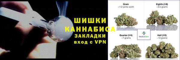 гидра Богданович