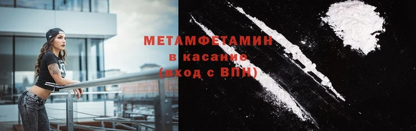 гидра Богданович