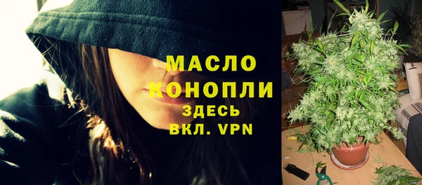 твердый Богородск