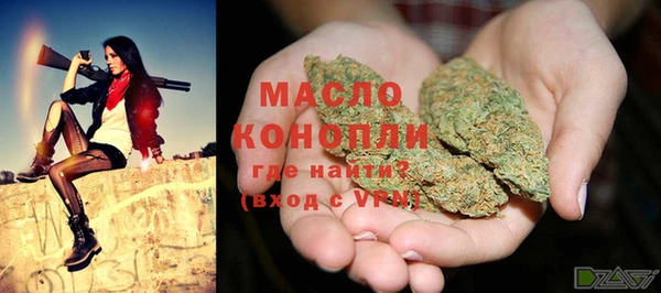 гидра Богданович