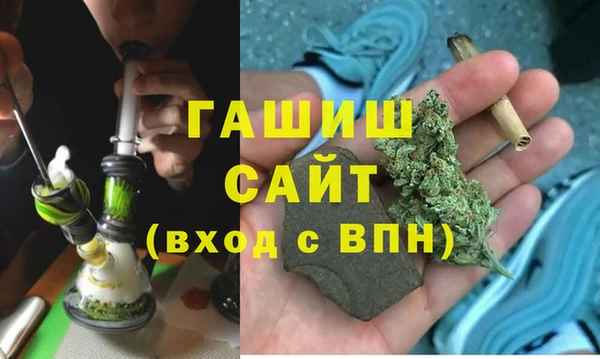 гидра Богданович