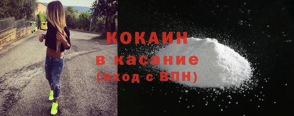 твердый Богородск