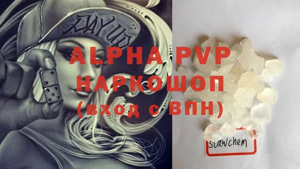 гидра Богданович
