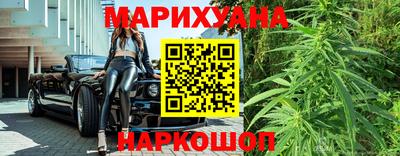 Альфа ПВП Ачхой-Мартан