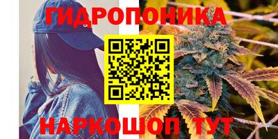 Альфа ПВП Ачхой-Мартан